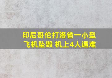 印尼哥伦打洛省一小型飞机坠毁 机上4人遇难